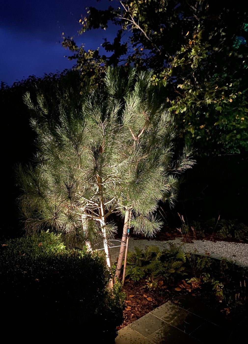 Tuinverlichting voorbeeld 4