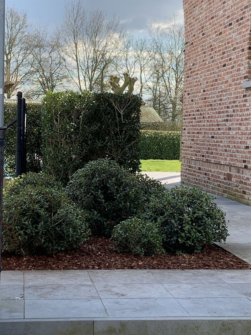 Onderhoud van tuinborders